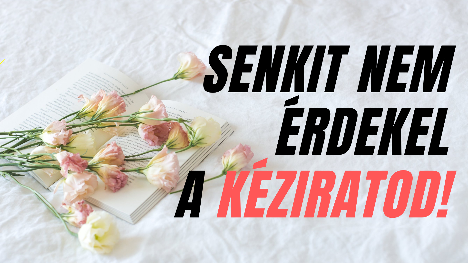 Senkit nem érdekel a kéziratod