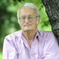 Nemere István